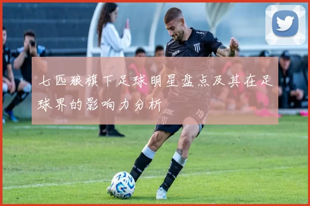 七匹狼旗下足球明星盘点及其在足球界的影响力分析