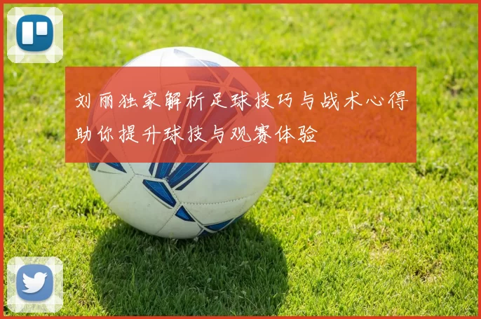 刘丽独家解析足球技巧与战术心得助你提升球技与观赛体验