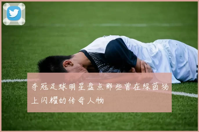 夺冠足球明星盘点那些曾在绿茵场上闪耀的传奇人物
