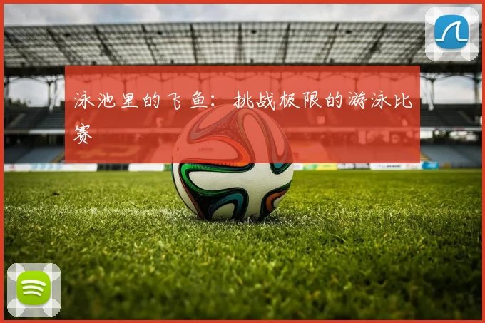 泳池里的飞鱼：挑战极限的游泳比赛