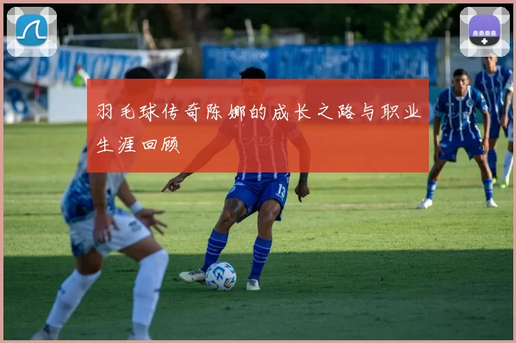 羽毛球传奇陈娜的成长之路与职业生涯回顾