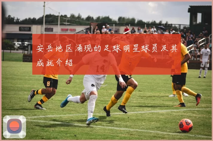 安岳地区涌现的足球明星球员及其成就介绍