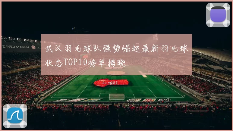 武汉羽毛球队强势崛起最新羽毛球状态TOP10榜单揭晓