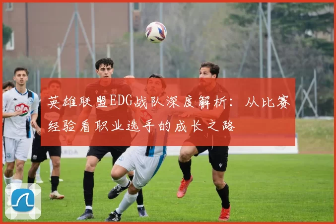 英雄联盟EDG战队深度解析：从比赛经验看职业选手的成长之路