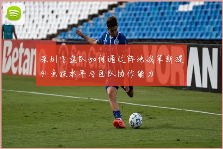 深圳飞盘队如何通过阵地战革新提升竞技水平与团队协作能力