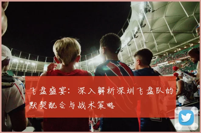 飞盘盛宴：深入解析深圳飞盘队的默契配合与战术策略