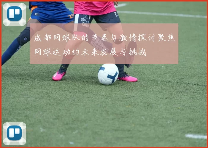 成都网球队的节奏与激情探讨聚焦网球运动的未来发展与挑战