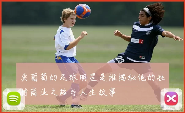 卖葡萄的足球明星是谁揭秘他的独特商业之路与人生故事