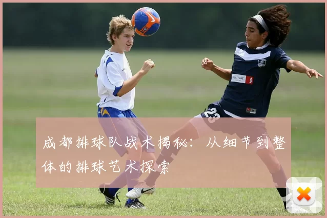 成都排球队战术揭秘：从细节到整体的排球艺术探索