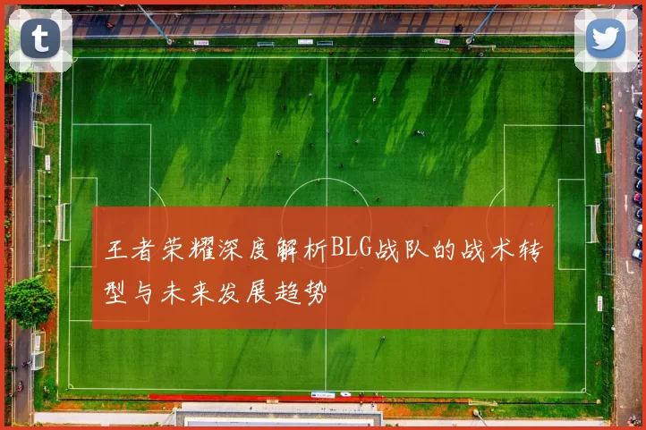 王者荣耀深度解析BLG战队的战术转型与未来发展趋势