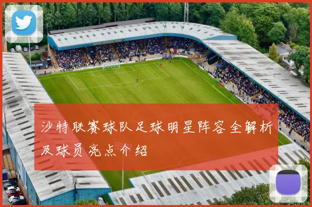 沙特联赛球队足球明星阵容全解析及球员亮点介绍