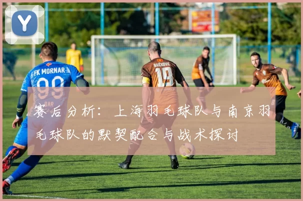 赛后分析：上海羽毛球队与南京羽毛球队的默契配合与战术探讨