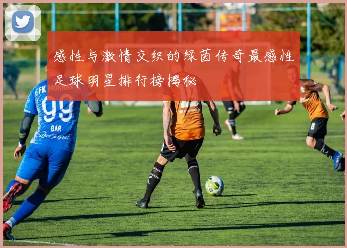 感性与激情交织的绿茵传奇最感性足球明星排行榜揭秘
