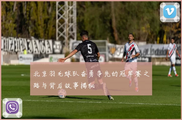 北京羽毛球队奋勇争先的冠军赛之路与背后故事揭秘