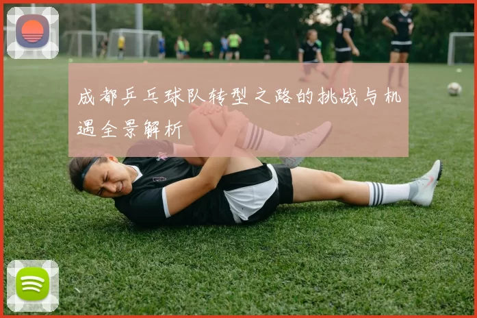 成都乒乓球队转型之路的挑战与机遇全景解析