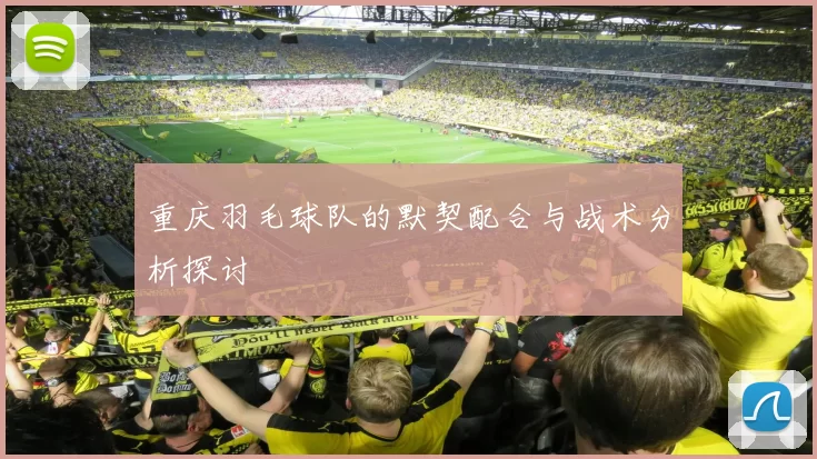 重庆羽毛球队的默契配合与战术分析探讨
