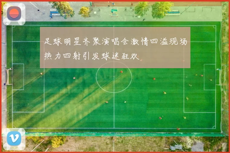 足球明星齐聚演唱会激情四溢现场热力四射引发球迷狂欢