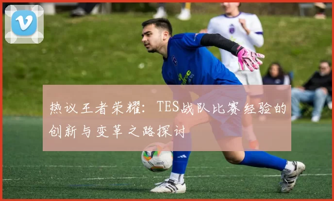 热议王者荣耀：TES战队比赛经验的创新与变革之路探讨