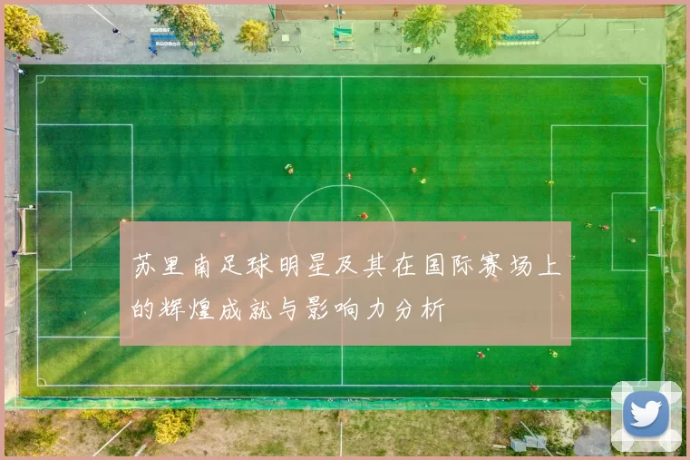 苏里南足球明星及其在国际赛场上的辉煌成就与影响力分析