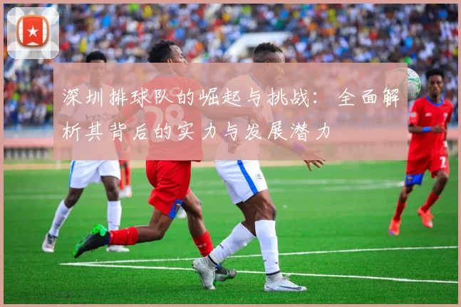 深圳排球队的崛起与挑战：全面解析其背后的实力与发展潜力