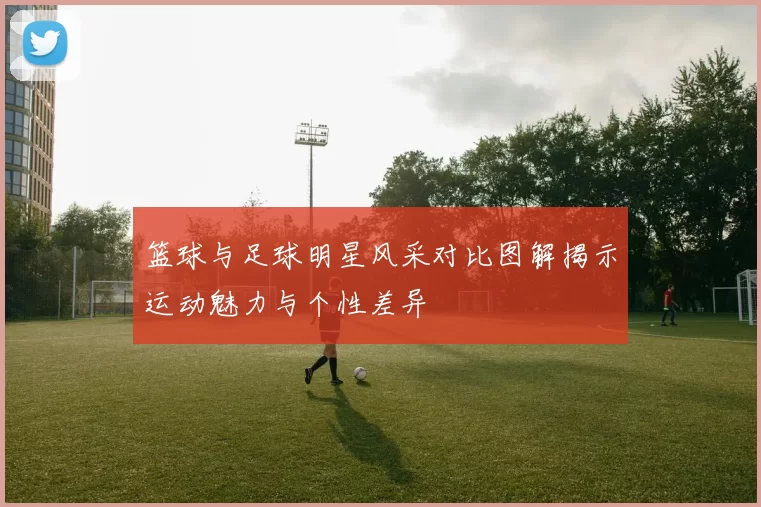 篮球与足球明星风采对比图解揭示运动魅力与个性差异