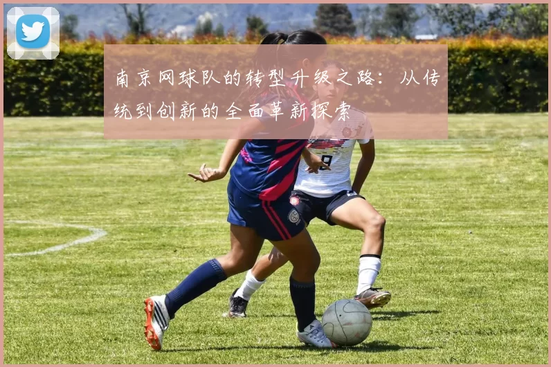 南京网球队的转型升级之路：从传统到创新的全面革新探索