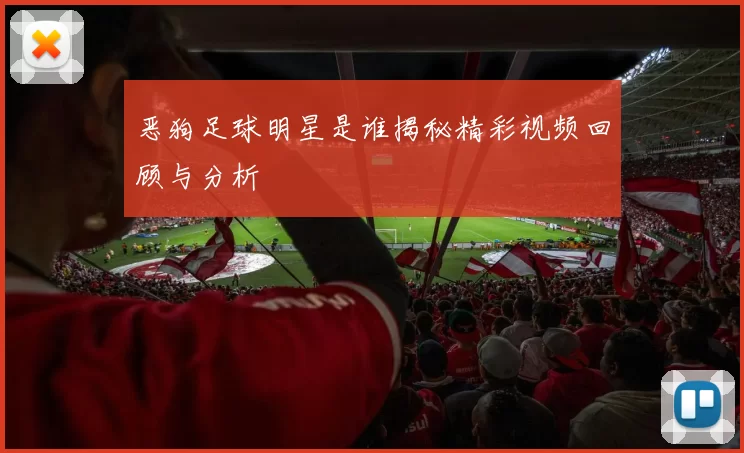 恶狗足球明星是谁揭秘精彩视频回顾与分析