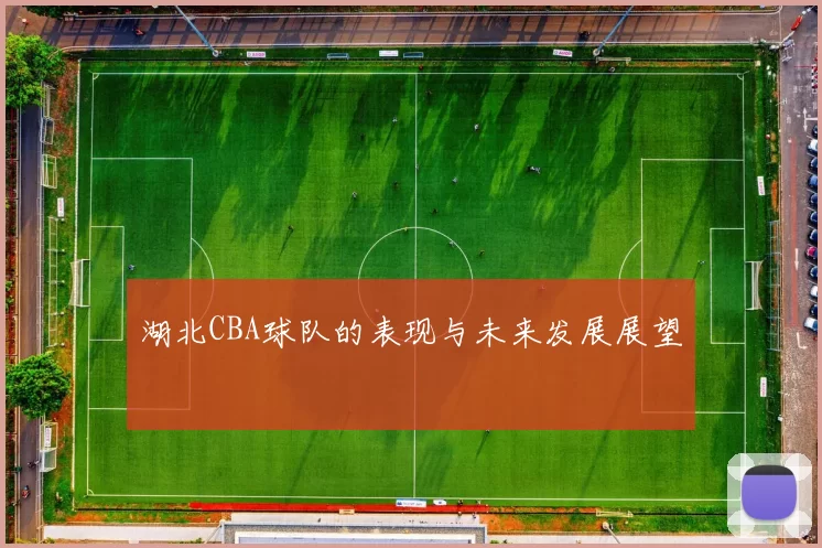 湖北CBA球队的表现与未来发展展望